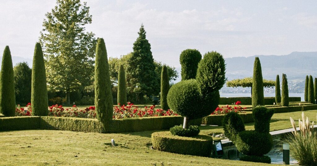 Altwegg Gartenbau AG