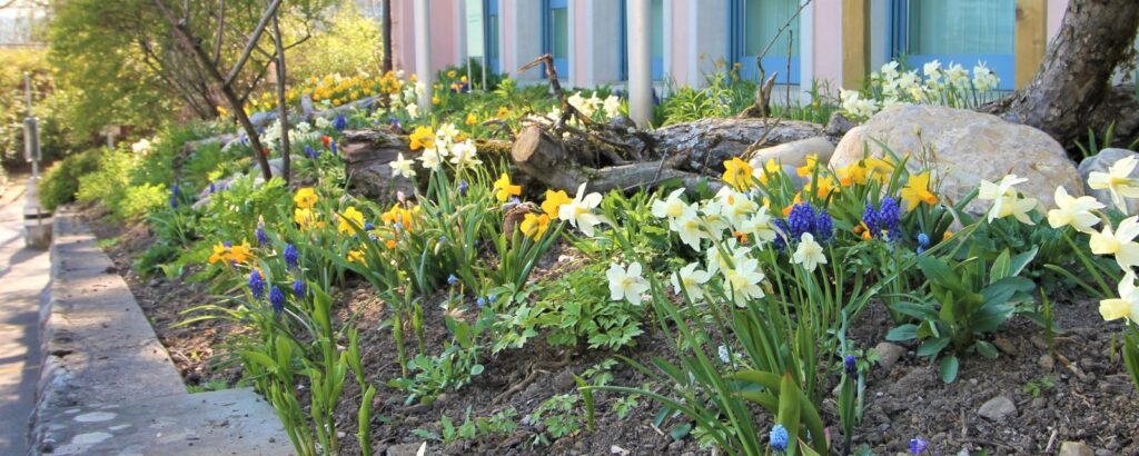 Käser Gartenbau AG