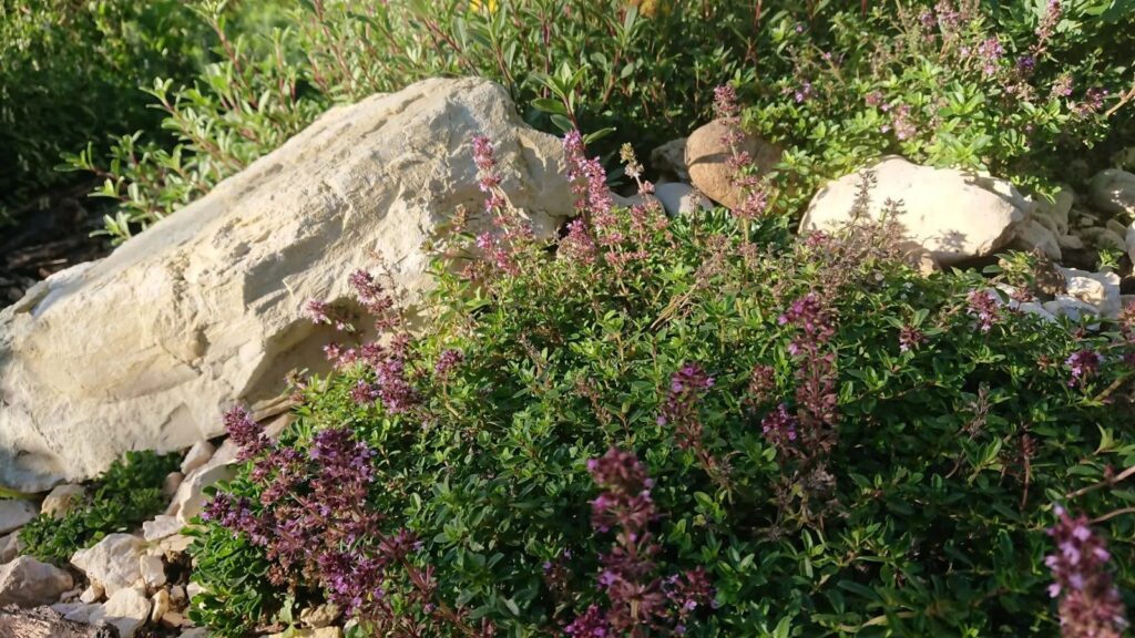 Natur&Garten, Philippe Wyss