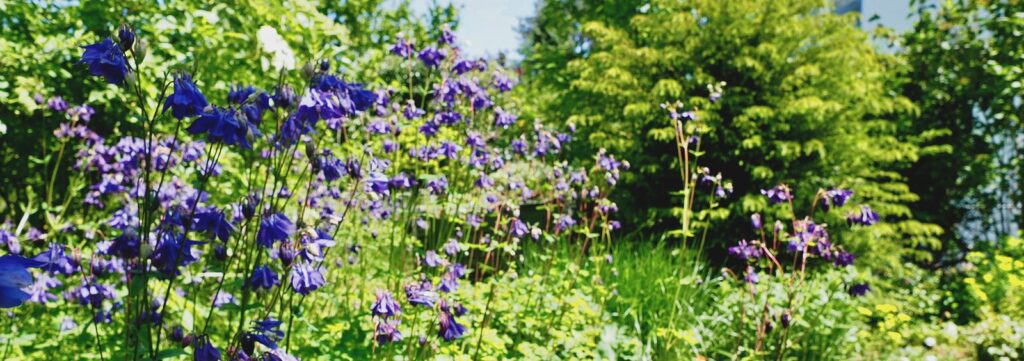 Ramseier Gartenbau