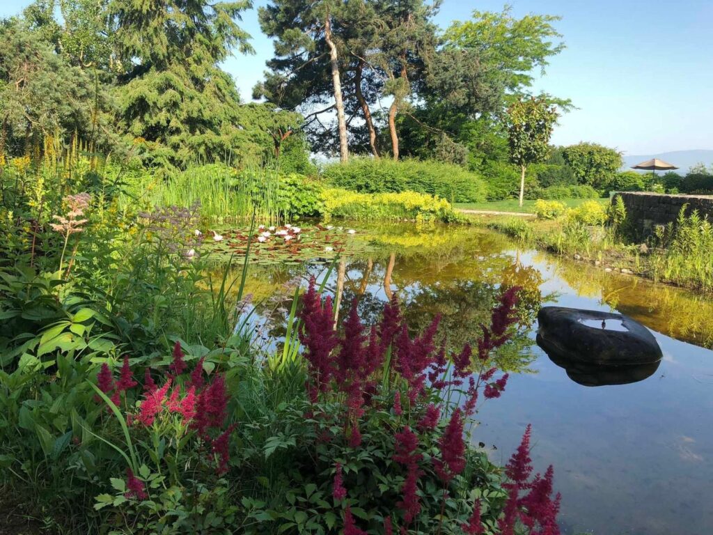 Vogel Gartenbau AG